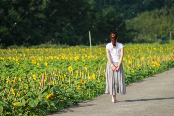 武汉茶香四溢,价格一览图赏心悦目 武汉茶香四溢,价格一览图赏心悦目